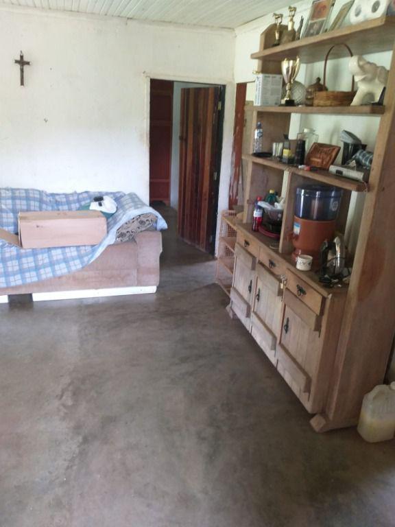 Fazenda, Centro, 0 Quarto, 0 Vaga