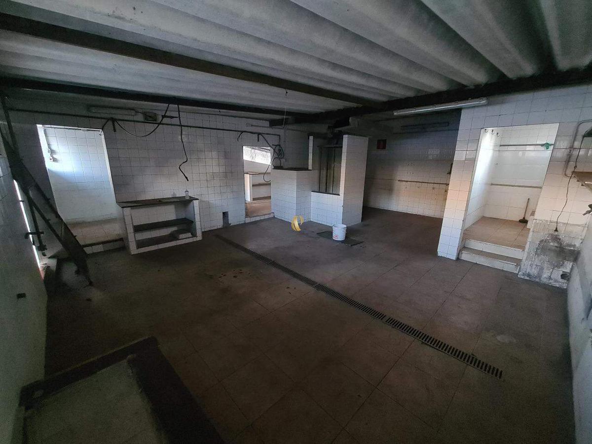 Casa, Floresta, 4 Quartos, 2 Vagas