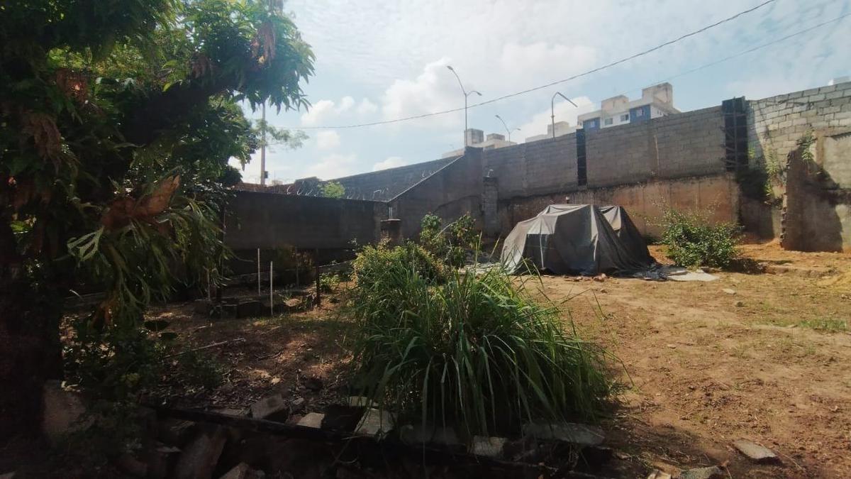 Lote, São João Batista (venda Nova), 0 Quarto, 0 Vaga