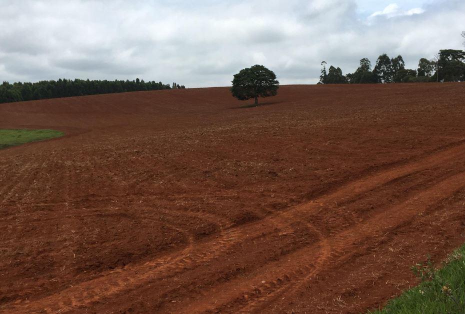Fazenda, Zona Rural, 2 Quartos, 1 Vaga, 1 Suíte