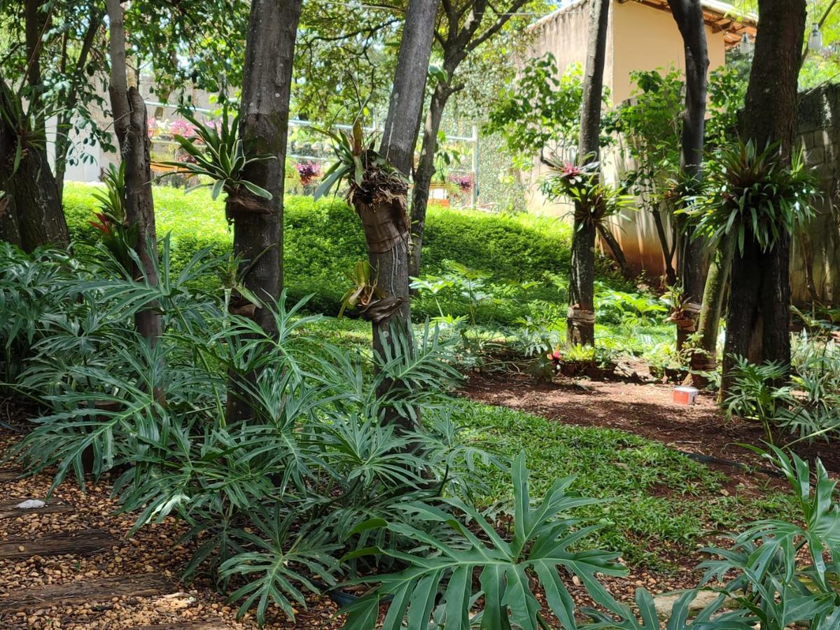 Lote, Enseada das Garças