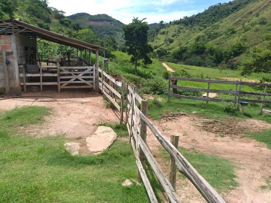 Fazenda, Centro, 3 Quartos, 0 Vaga, 1 Suíte