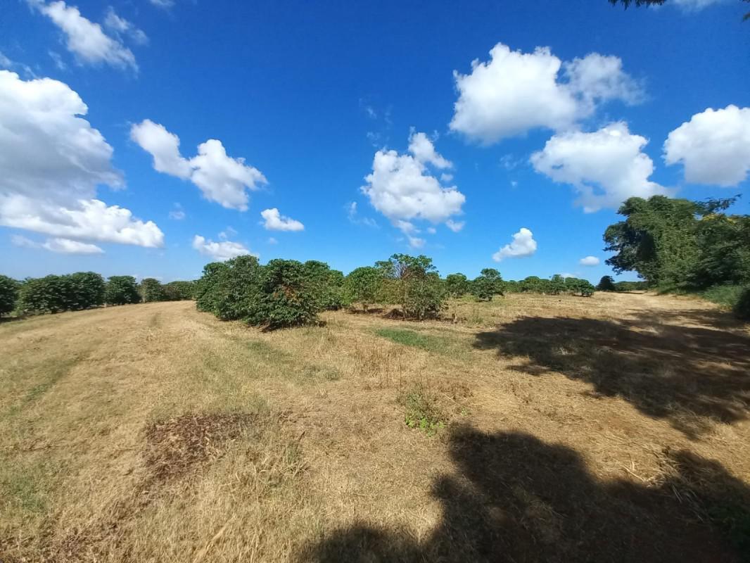 Fazenda, Zona Rural, 5 Quartos, 0 Vaga, 1 Suíte