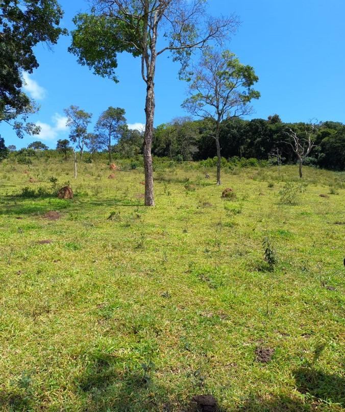 Fazenda, Centro, 3 Quartos, 0 Vaga