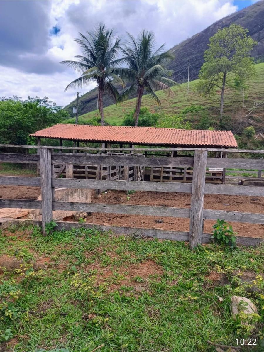 Fazenda, Centro, 7 Quartos, 0 Vaga