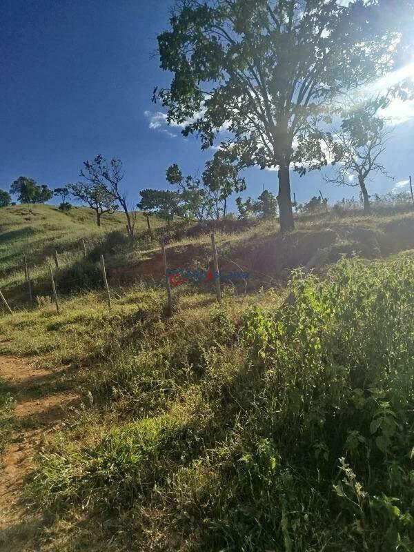 Fazenda, Bela Vista, 0 Quarto, 5 Vagas