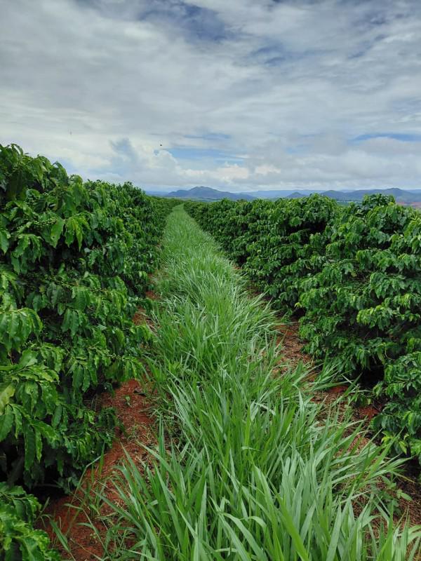 Fazenda, Zona Rural, 0 Quarto, 0 Vaga