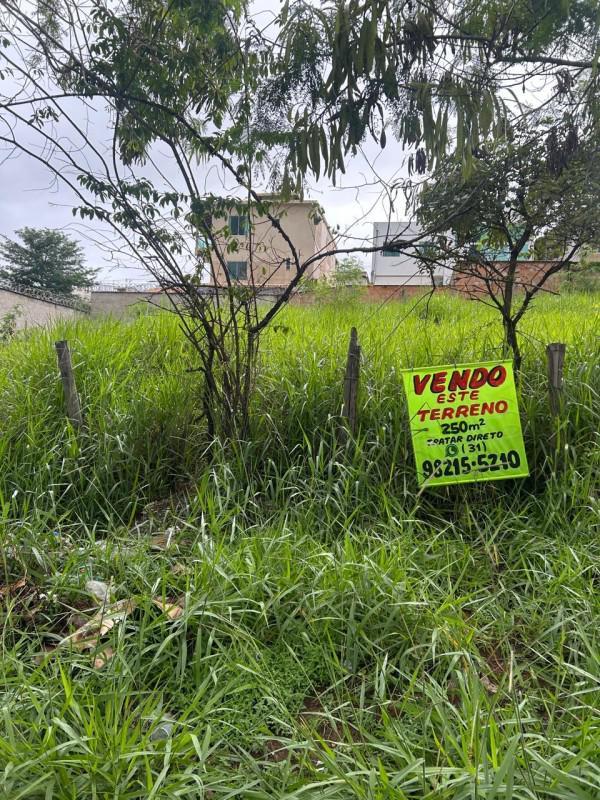 Lote, Liberdade, 0 Quarto, 0 Vaga