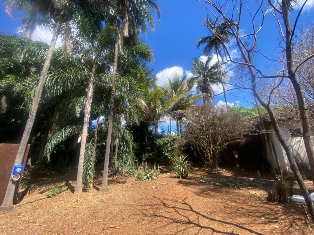 Apartamento, Progresso, 4 Quartos, 5 Vagas