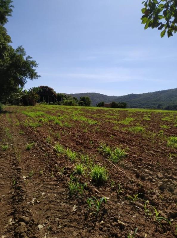 Fazenda, Zona Rural, 0 Quarto, 0 Vaga