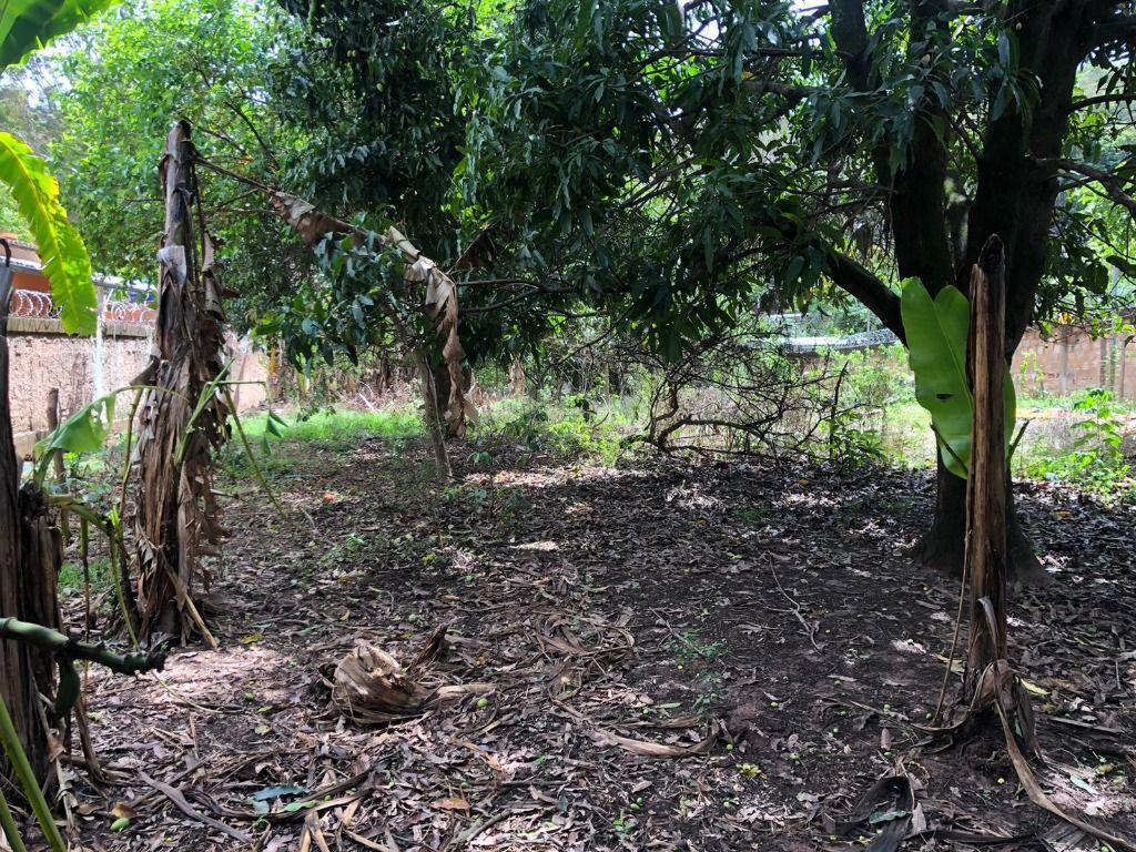 Lote, Santo Antônio (roça Grande), 0 Quarto, 0 Vaga