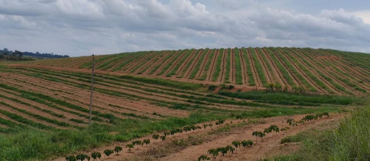 Fazenda, Zona Rural, 0 Quarto, 0 Vaga