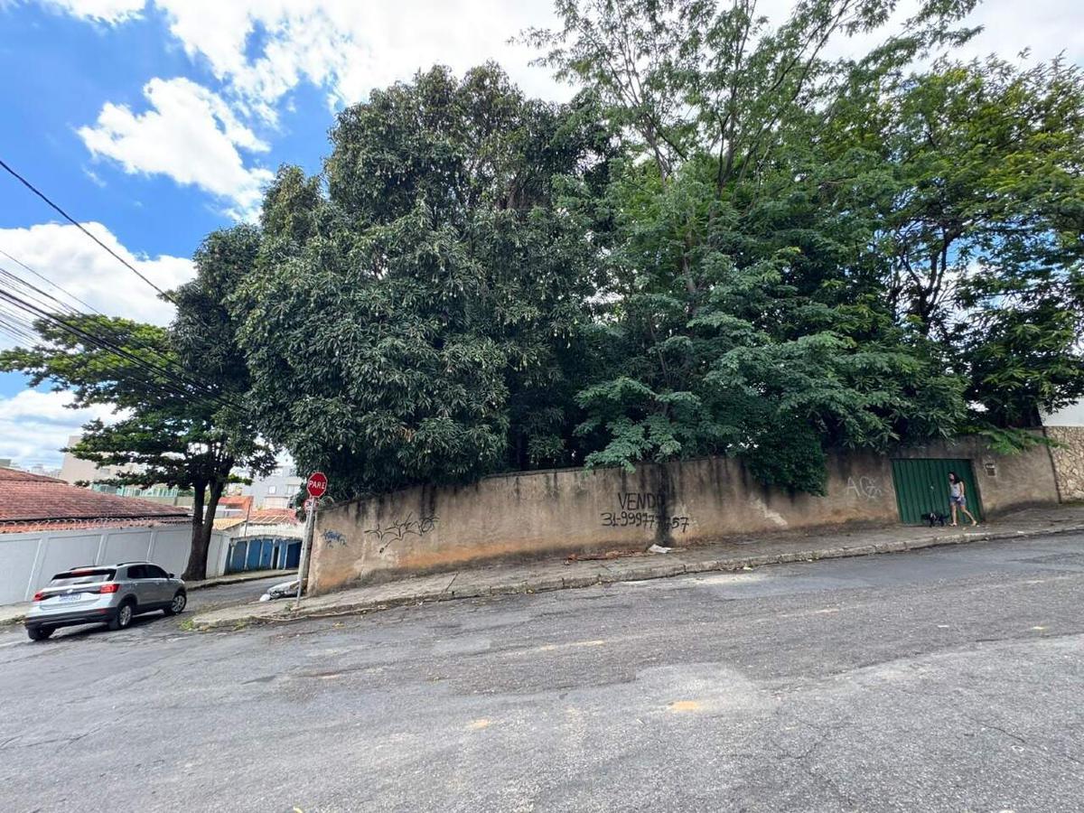 Lote, São Luiz (pampulha), 0 Quarto, 0 Vaga