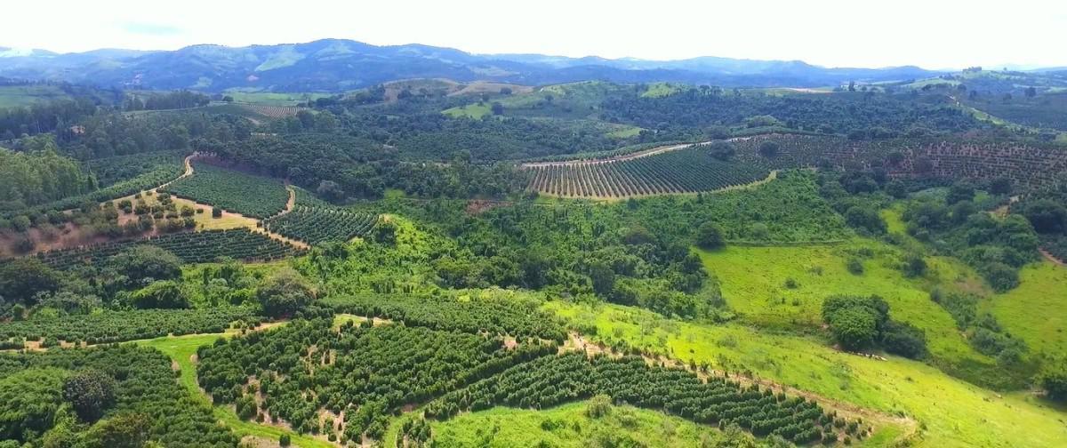Fazenda, Zona Rural, 0 Quarto, 0 Vaga