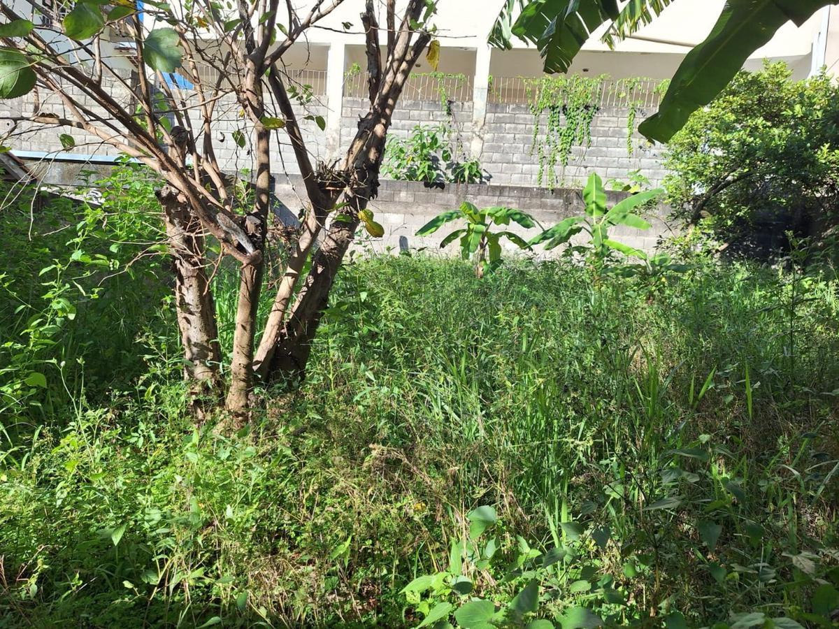 Lote, Bom Pastor, 0 Quarto, 0 Vaga