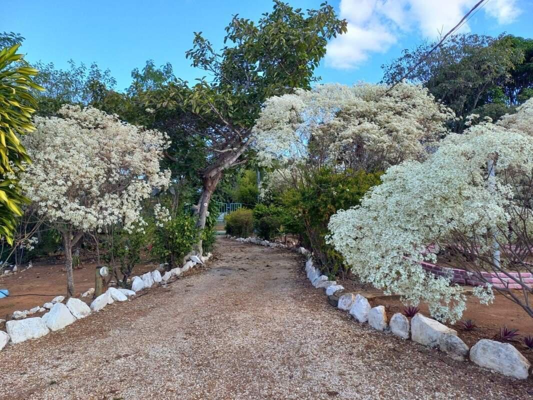 Fazenda, Campo Alegre, 6 Quartos, 0 Vaga