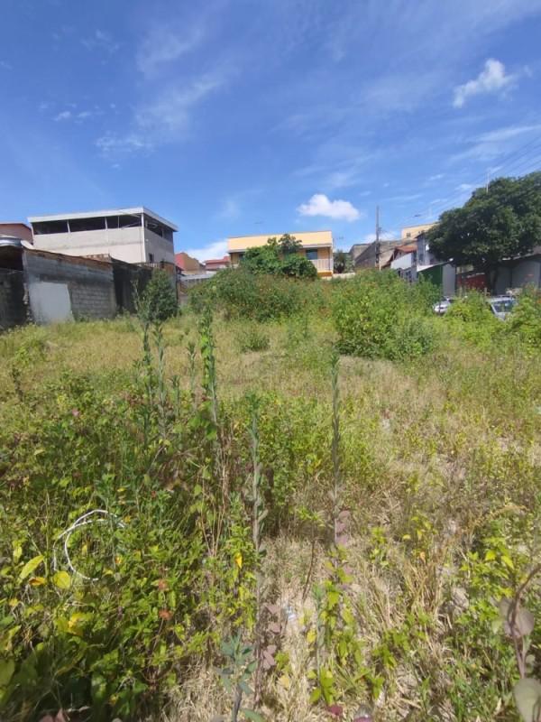 Lote, Flamengo, 0 Quarto, 0 Vaga