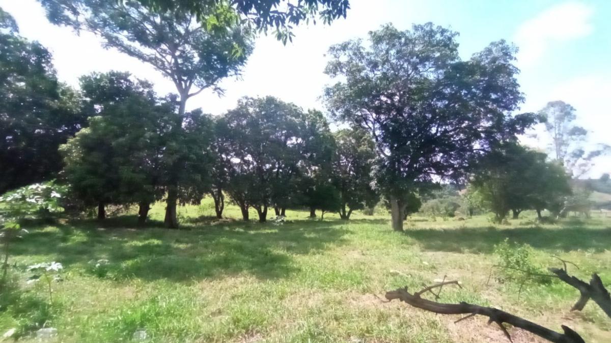 Fazenda, Zona Rural, 0 Quarto, 0 Vaga