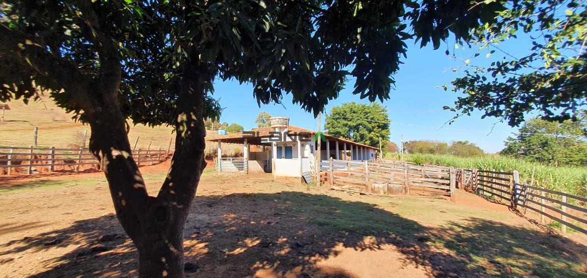Fazenda, Centro, 2 Quartos, 0 Vaga