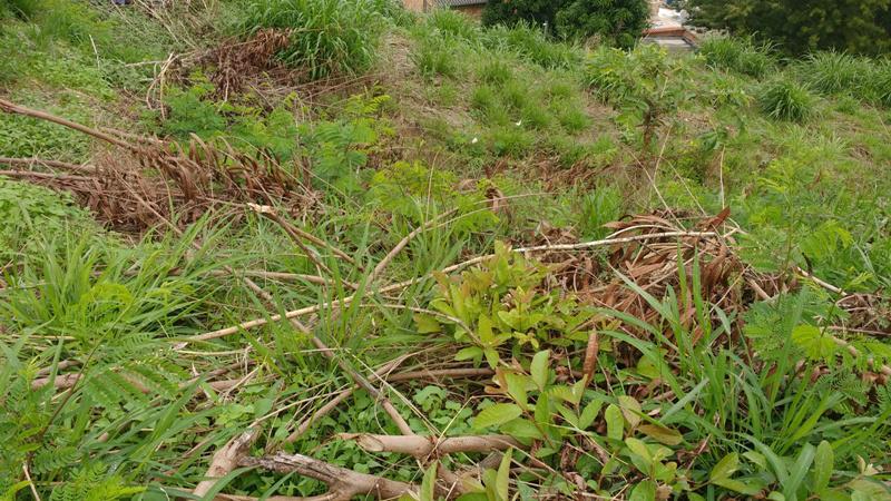 Lote, Novo Santa Cecília (barreiro), 0 Quarto, 10 Vagas