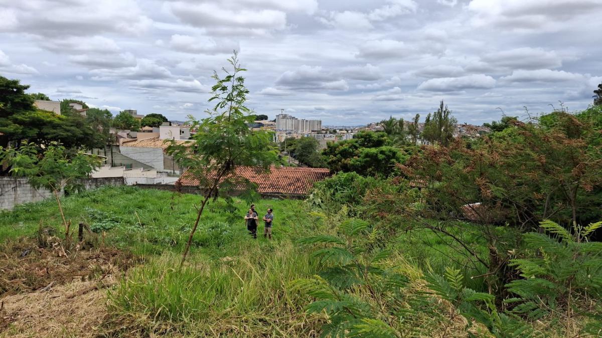 Lote, Estoril, 0 Quarto, 0 Vaga