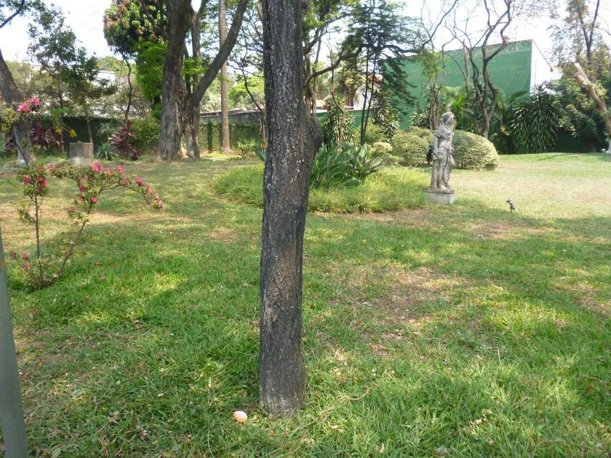 Lote, São Luiz (pampulha), 0 Quarto, 0 Vaga