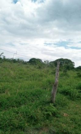 Fazenda, Zona Rural, 3 Quartos, 0 Vaga