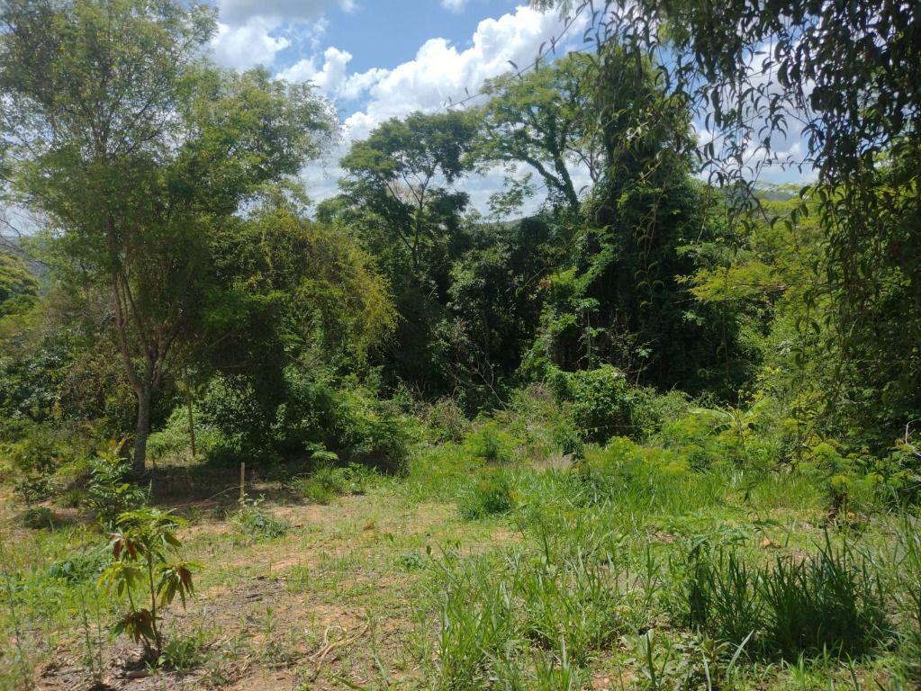 Lote, Roças Novas, 0 Quarto, 0 Vaga