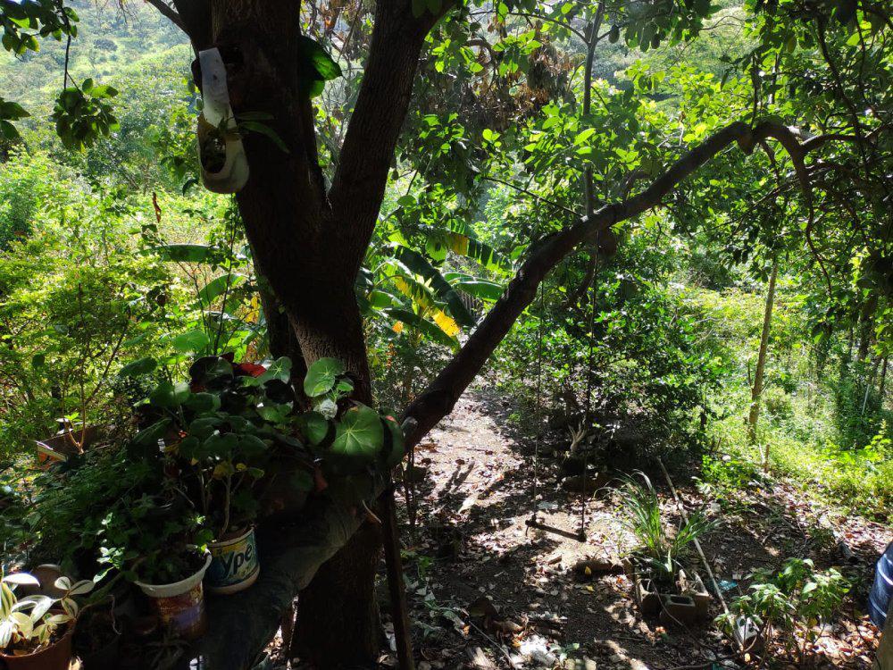 Casa, Palmeiras, 3 Quartos, 1 Vaga, 1 Suíte