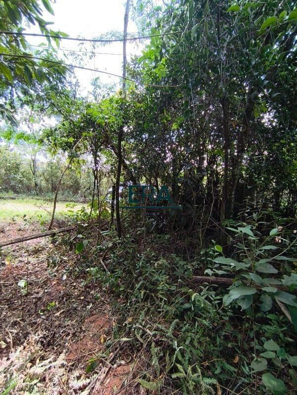 Lote, Parque do Engenho, 0 Quarto, 0 Vaga