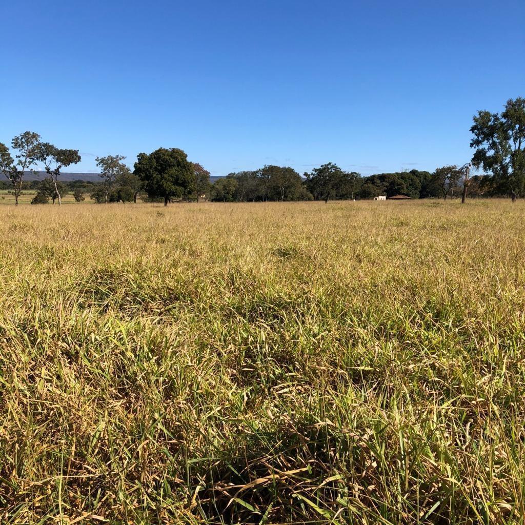 Fazenda, Centro, 3 Quartos, 0 Vaga