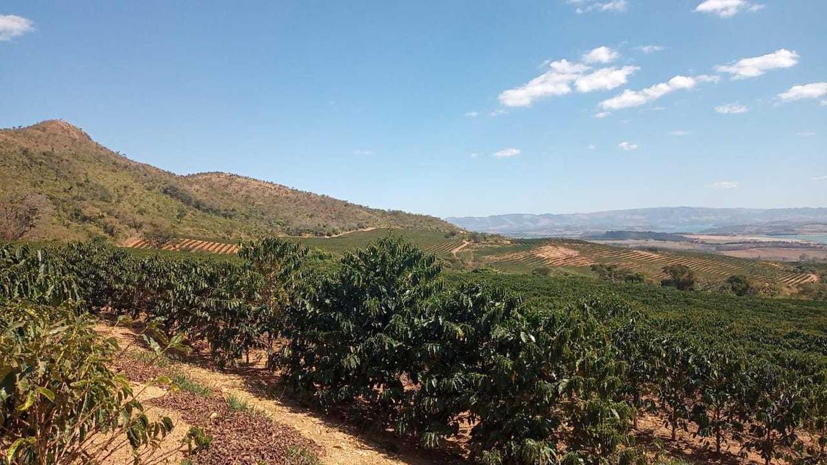 Fazenda, Zona Rural, 3 Quartos, 0 Vaga