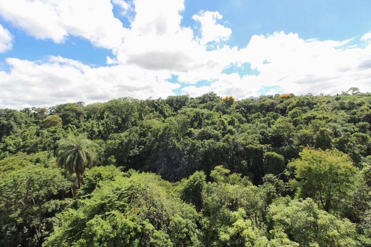 Apartamento, Castelo, 3 Quartos, 2 Vagas, 1 Suíte