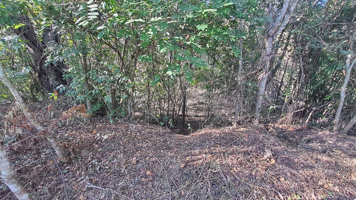 Lote, Ravena, 0 Quarto, 0 Vaga