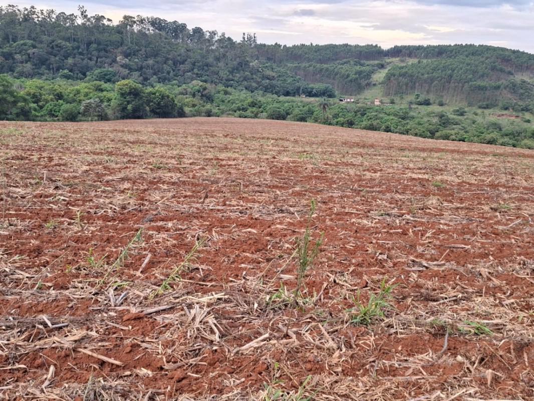 Fazenda, Zona Rural, 0 Quarto, 0 Vaga