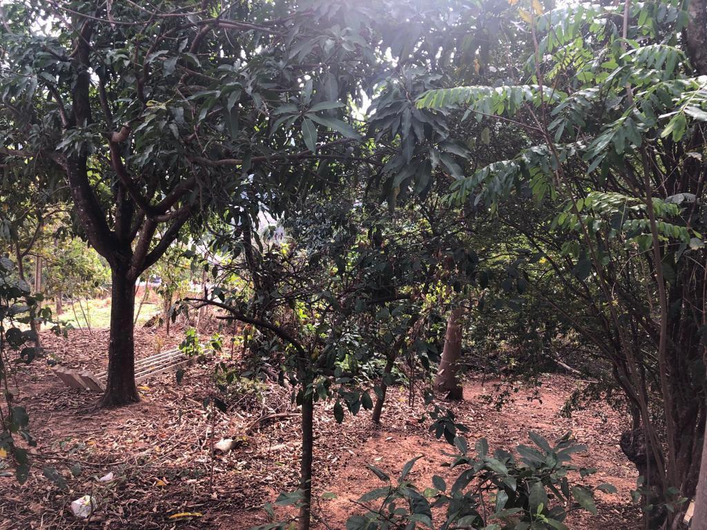 Lote, Rosário, 0 Quarto, 0 Vaga
