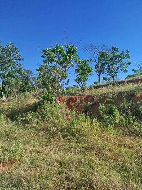Fazenda, Bela Vista, 0 Quarto, 5 Vagas