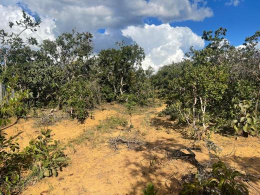 Lote, São Jose de Almeida, 0 Quarto, 0 Vaga