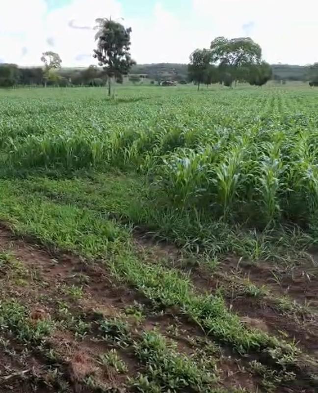 Fazenda, Zona Rural, 0 Quarto, 0 Vaga