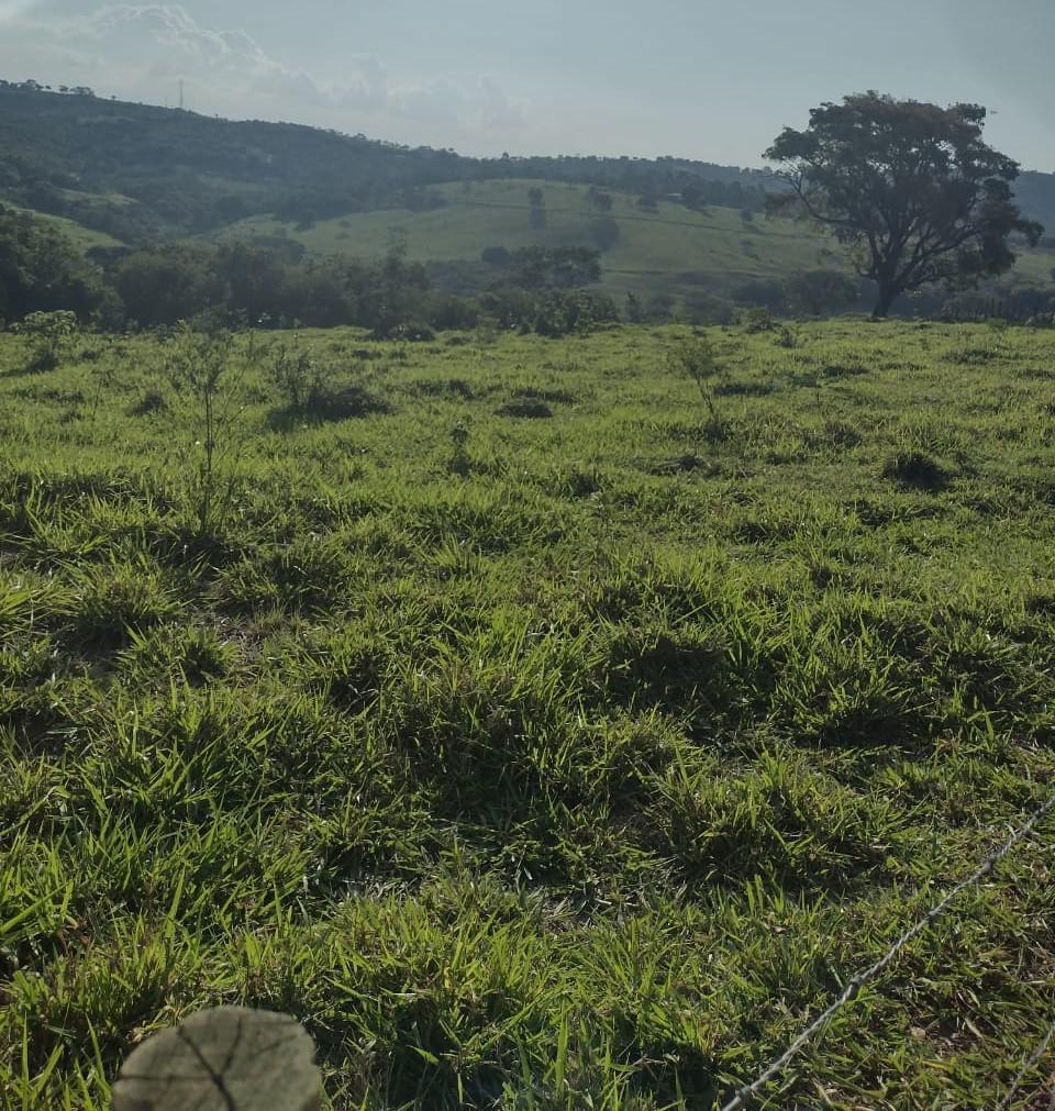 Fazenda, Centro, 1 Quarto, 0 Vaga