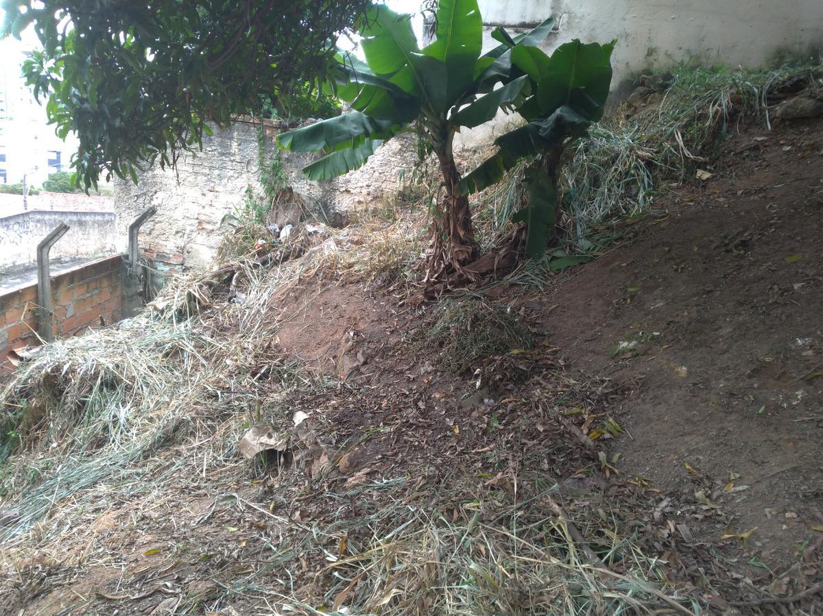 Lote, Graça, 0 Quarto, 0 Vaga