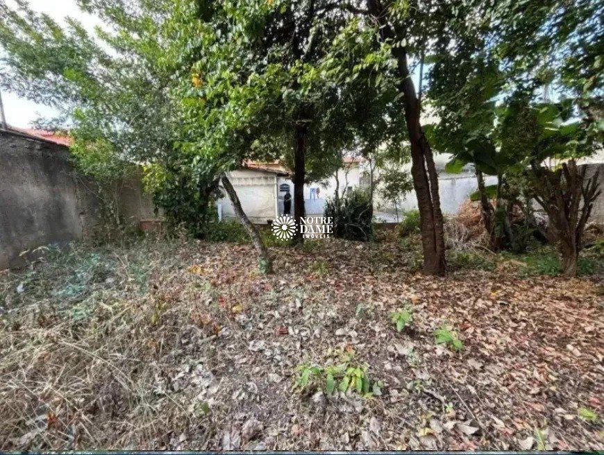 Casa, Santa Amélia, 3 Quartos, 2 Vagas