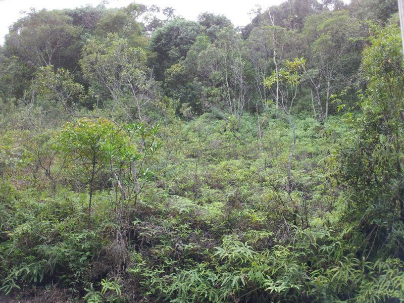 Lote, Green Park, 0 Quarto, 0 Vaga