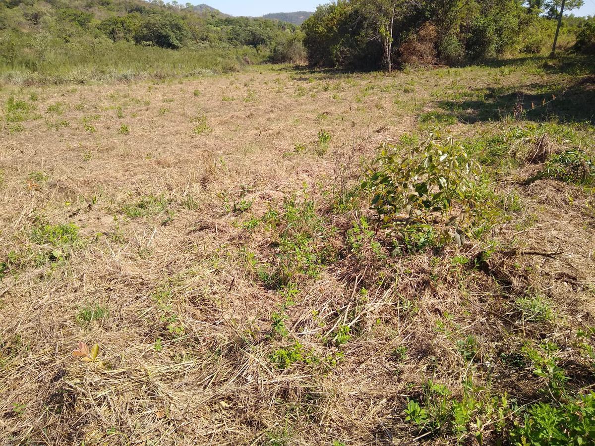 Lote, Zona Rural, 0 Quarto, 0 Vaga