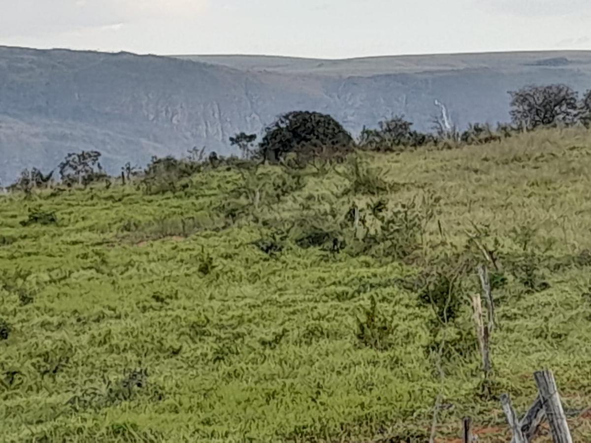 Fazenda, Zona Rural, 0 Quarto, 0 Vaga