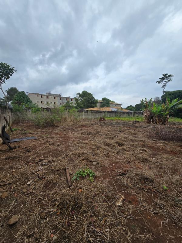 Lote, Chácara Novo Horizonte, 0 Quarto, 0 Vaga