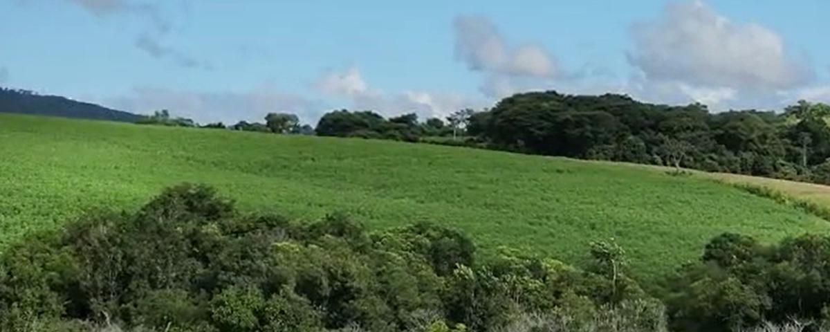Fazenda, Centro, 1 Quarto, 1 Vaga