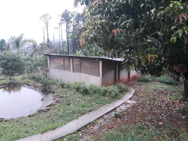 Fazenda, Quintas da Serra, 5 Quartos, 10 Vagas, 1 Suíte