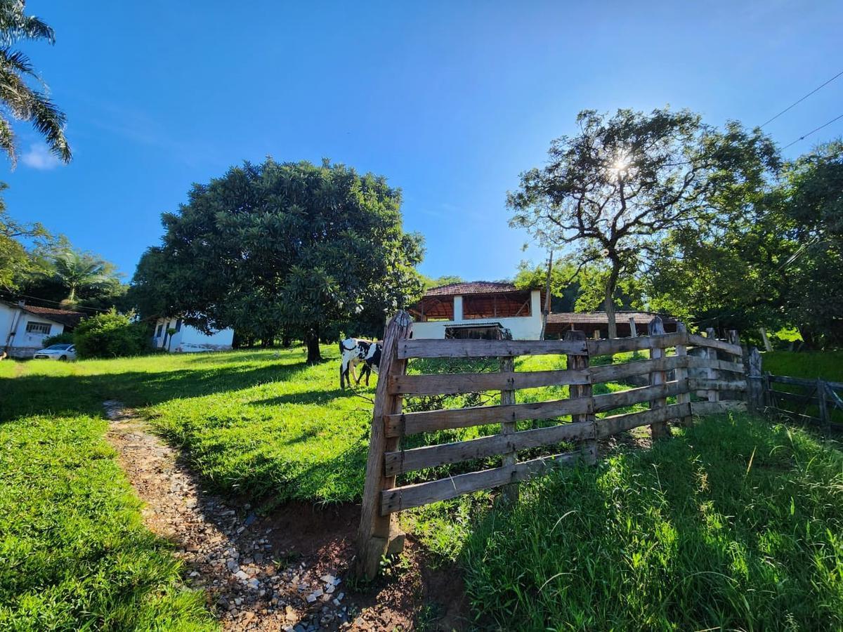 Fazenda, Centro, 4 Quartos, 0 Vaga