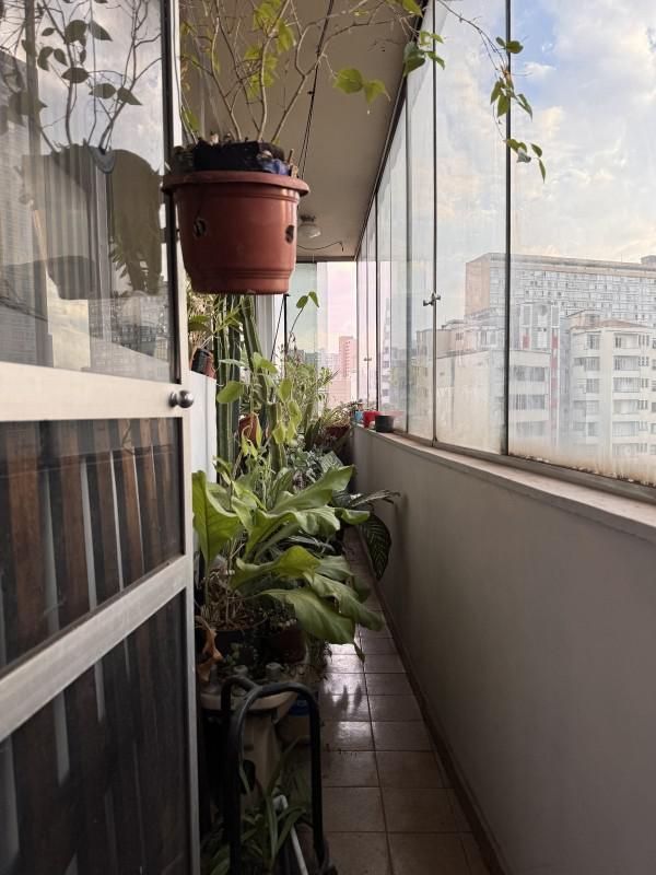 Apartamento, Centro, 2 Quartos, 0 Vaga